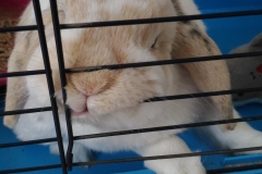 Pusťte mě ven nebo vám to rozkoušu..